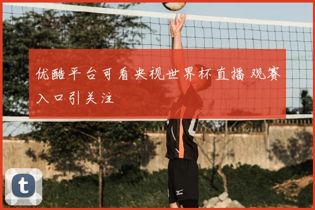 优酷平台可看央视世界杯直播 观赛入口引关注