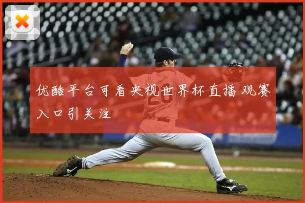 优酷平台可看央视世界杯直播 观赛入口引关注