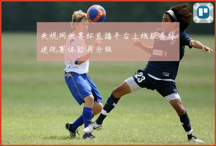 央视网世界杯直播平台上线服务球迷观赛体验再升级