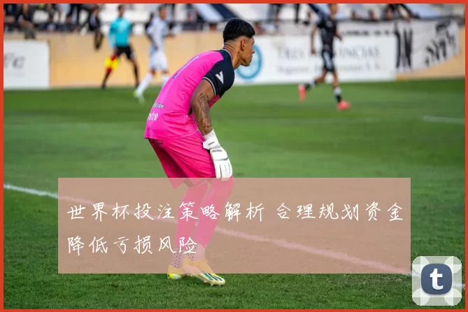 世界杯投注策略解析 合理规划资金降低亏损风险